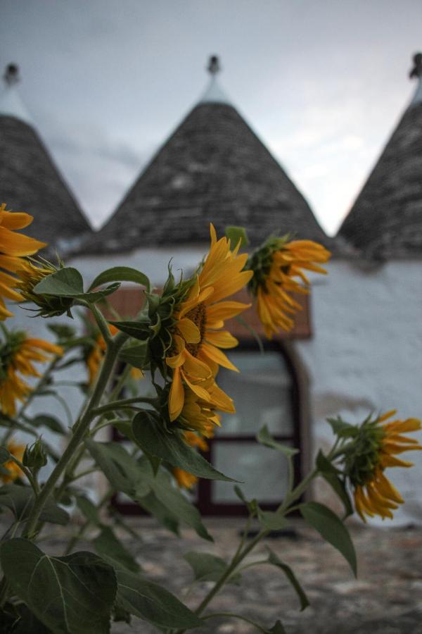 Masseria Ferri Ostuni Zewnętrze zdjęcie