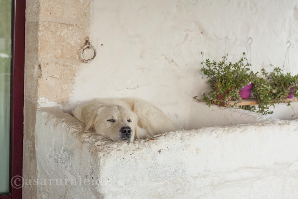 Masseria Ferri Ostuni Zewnętrze zdjęcie